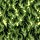 Joy Carpet: Inferno RR Green